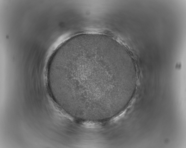 X0000094170343200711020946