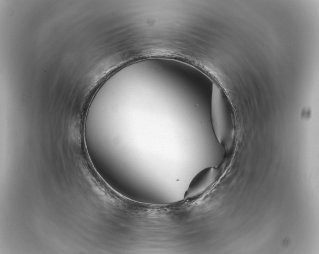 X0000094170345200711020946
