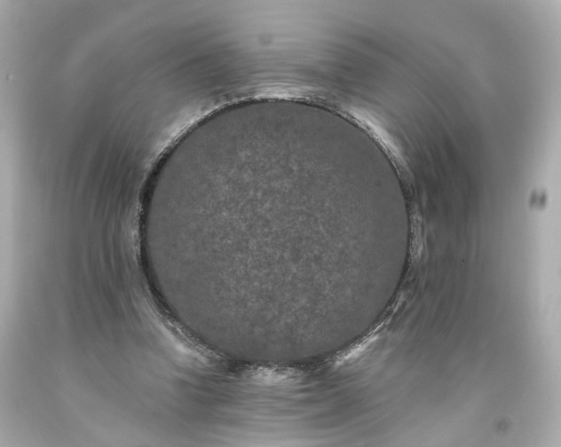 X0000094170346200711020946