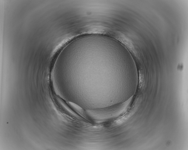 X0000094170348200711020946