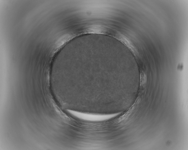 X0000094170349200711020946
