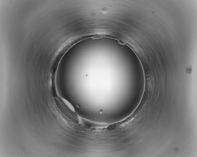 X0000094170350200711020946