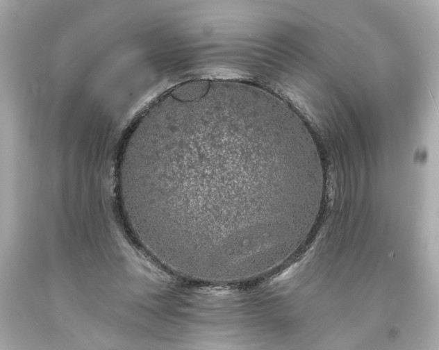 X0000094170351200711020946