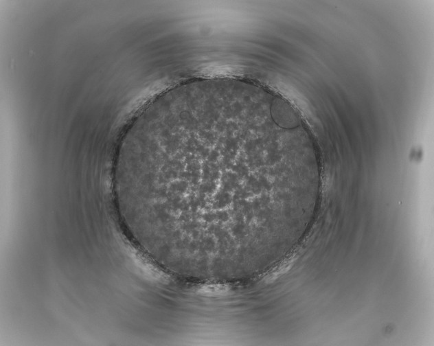 X0000094170353200711020946
