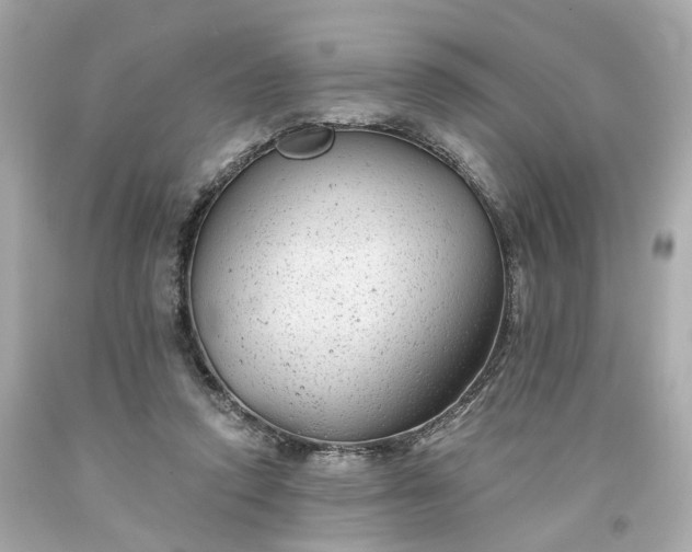 X0000094170354200711020946