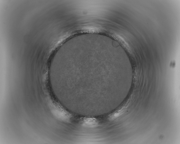 X0000094170355200711020946