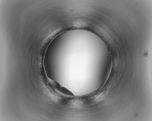X0000094170356200711020946