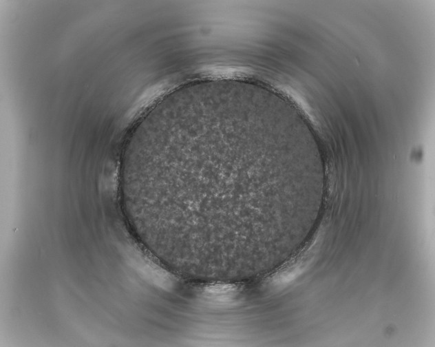 X0000094170357200711020946