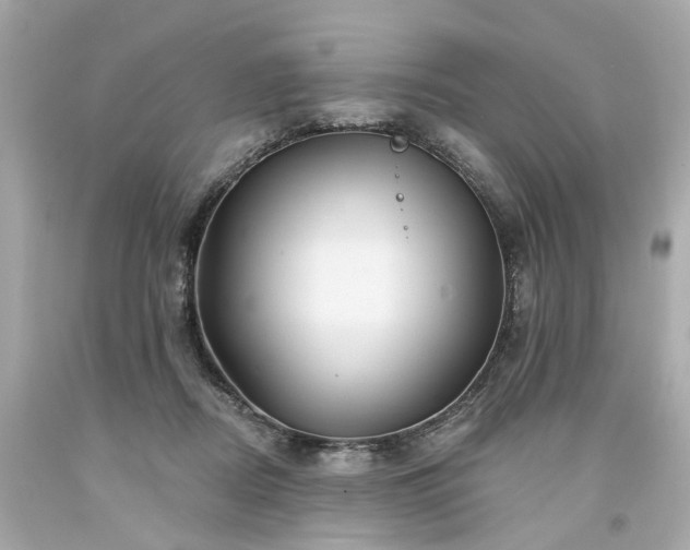 X0000094170362200711020946