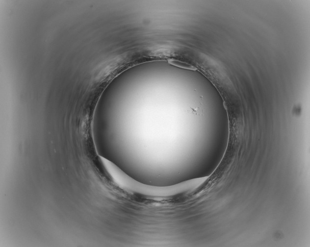 X0000094170364200711020946