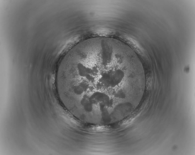 X0000094170365200711020946