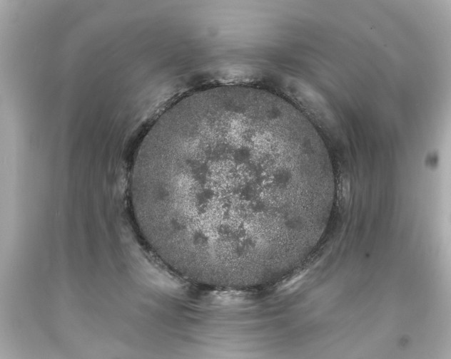 X0000094170367200711020946
