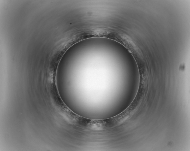 X0000094170368200711020946