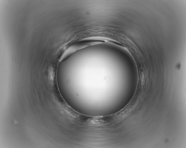 X0000094170372200711020946