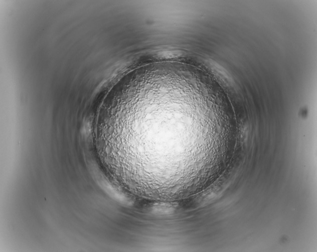 X0000094170373200711020946