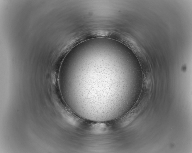 X0000094170374200711020946