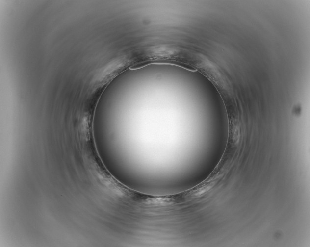 X0000094170378200711020946