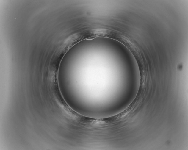 X0000094170379200711020946