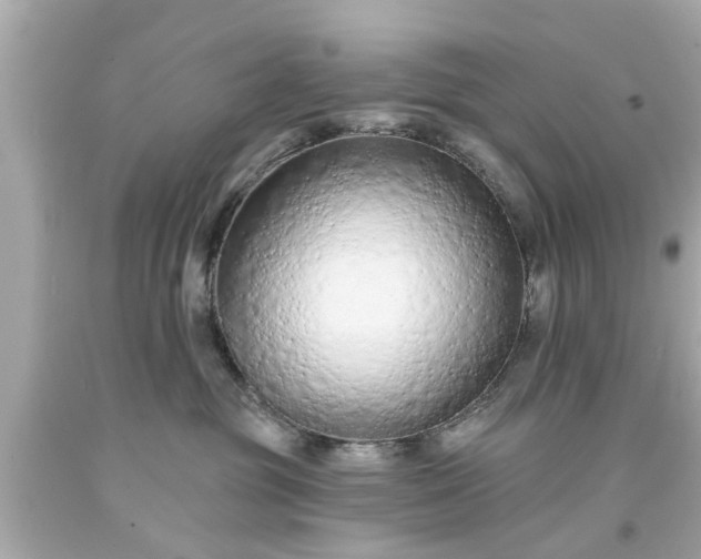 X0000094170381200711020946