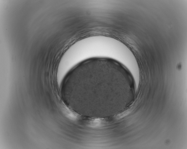 X0000094170382200711020947