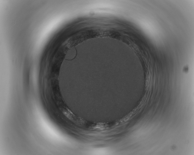 X0000094170383200711020947