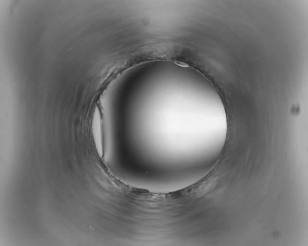X0000094170384200711020947