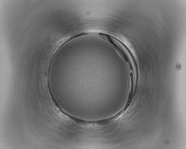 X0000094170385200711020946