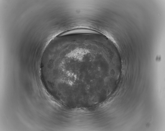 X0000094170386200711020946