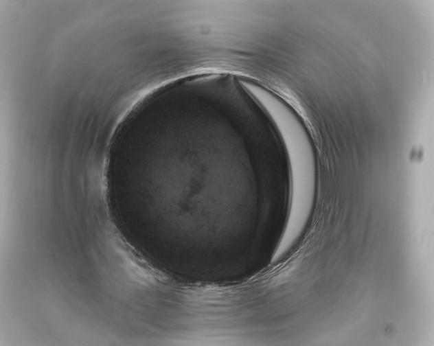 X0000094170387200711020946
