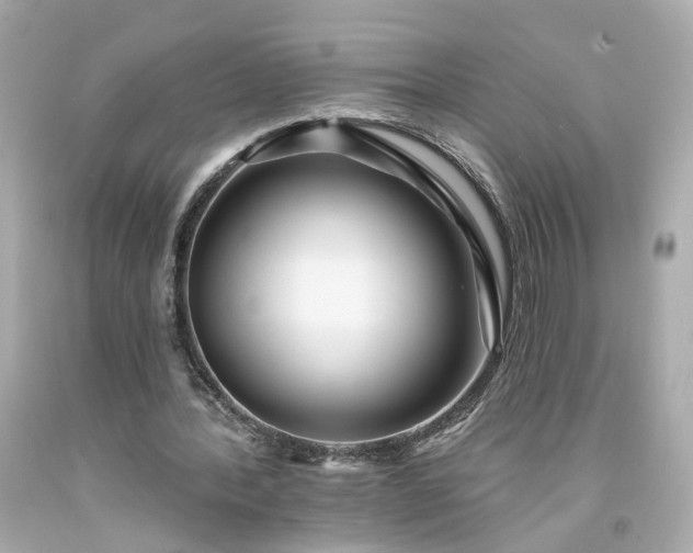 X0000094170388200711020946