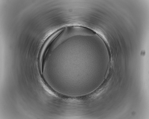 X0000094170389200711020946