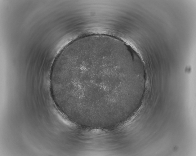 X0000094170390200711020946