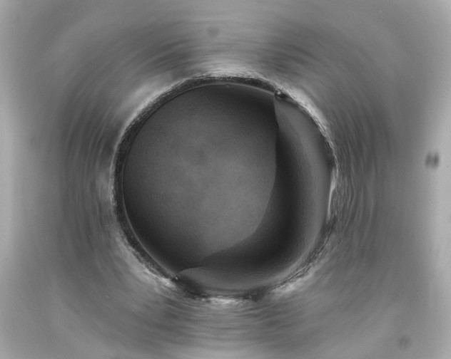 X0000094170391200711020946