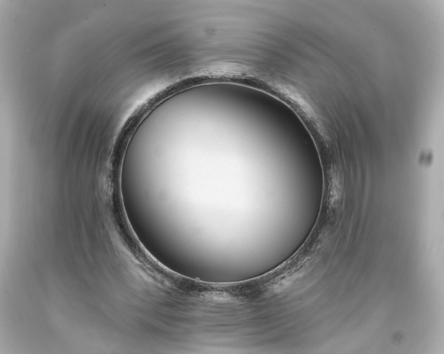 X0000094170392200711020946