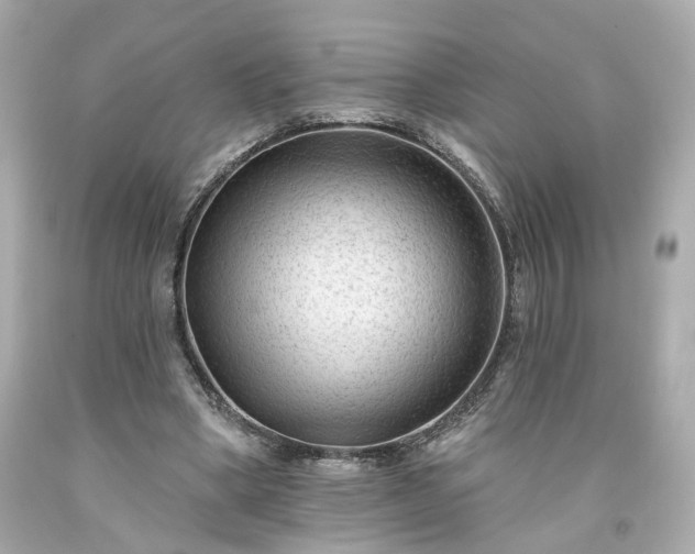X0000094170394200711020946