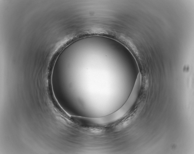 X0000094170395200711020946