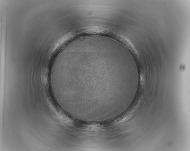 X0000094170396200711020946