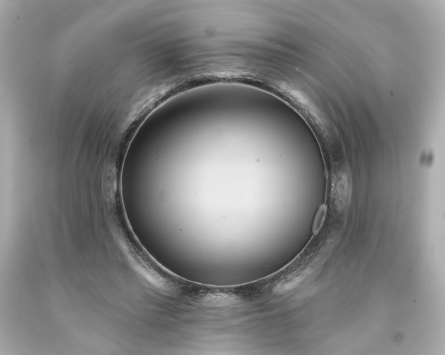 X0000094170397200711020946