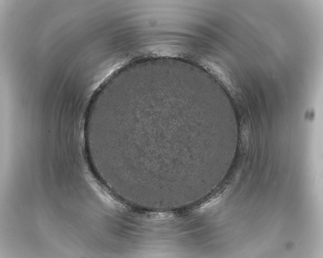 X0000094170398200711020946