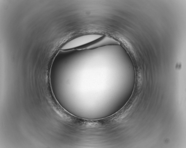 X0000094170401200711020946