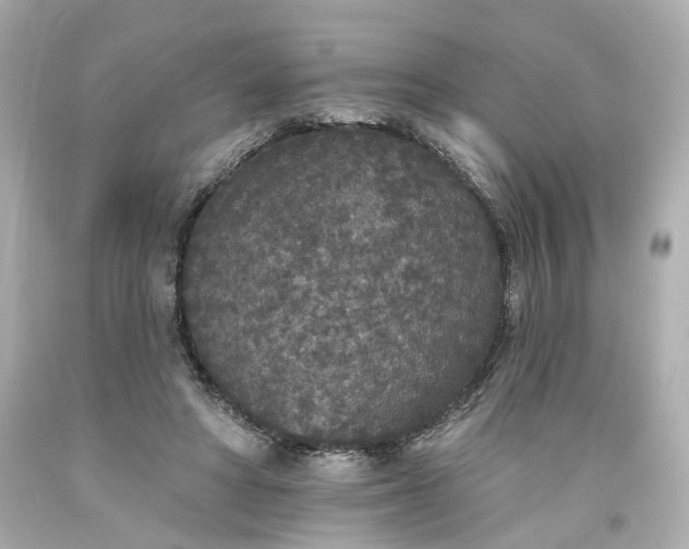 X0000094170402200711020946