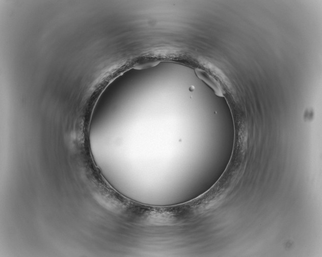 X0000094170403200711020946