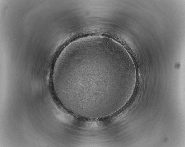 X0000094170404200711020946