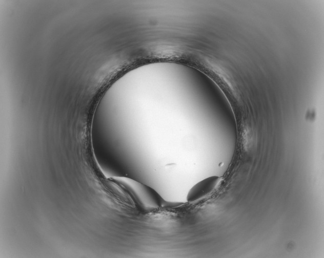 X0000094170407200711020946