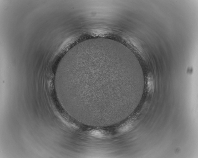 X0000094170408200711020946