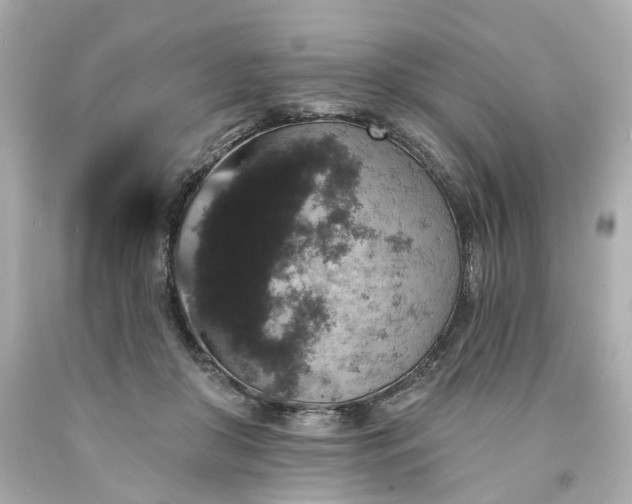 X0000094170410200711020946