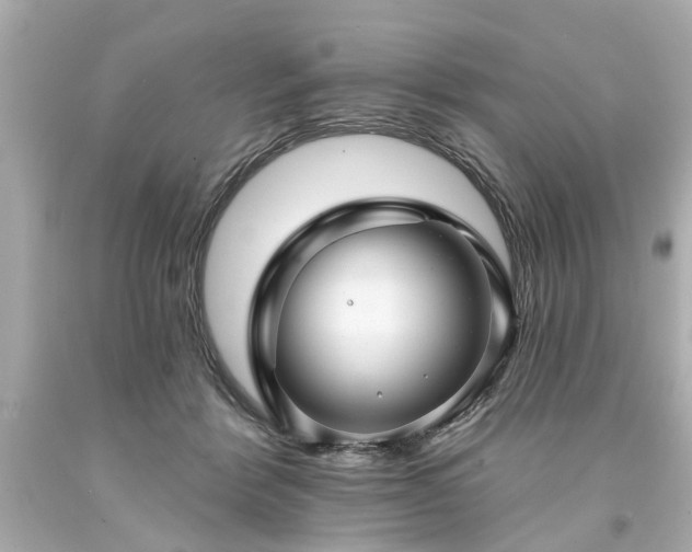 X0000094170412200711020945