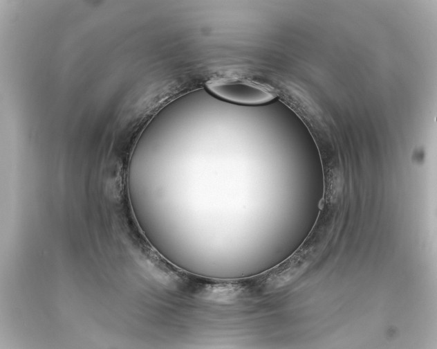 X0000094170414200711020945