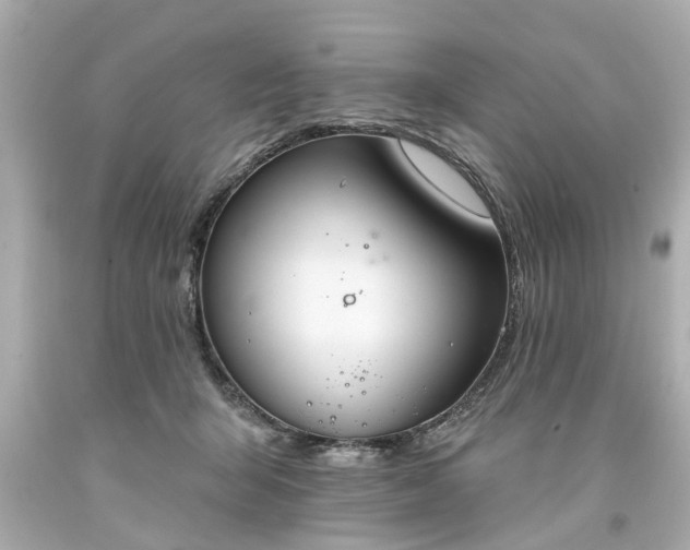 X0000094170415200711020945
