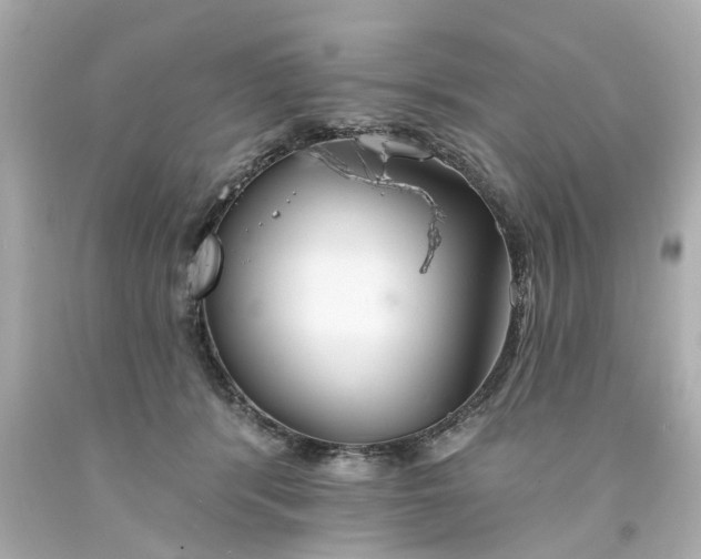 X0000094170416200711020945